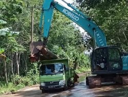 Akses Jalan Terputus Akibat Banjir, Medco E&P Bantu Warga Danau Cala Bangun Jembatan Darurat